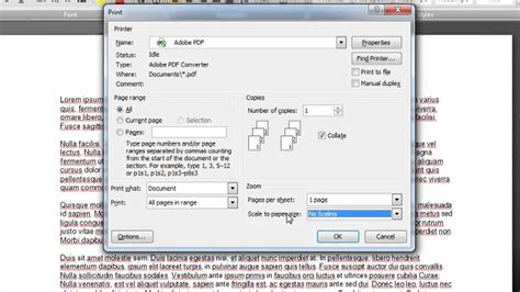 How to Print Fit to Page in Word: Discussing Print Settings and Word Document Optimizations